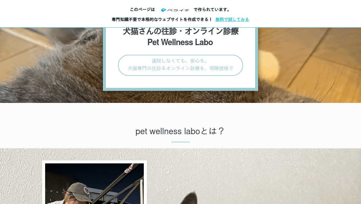 サイボミックス みんな腸活してる？これはお薦め、サイボミックス