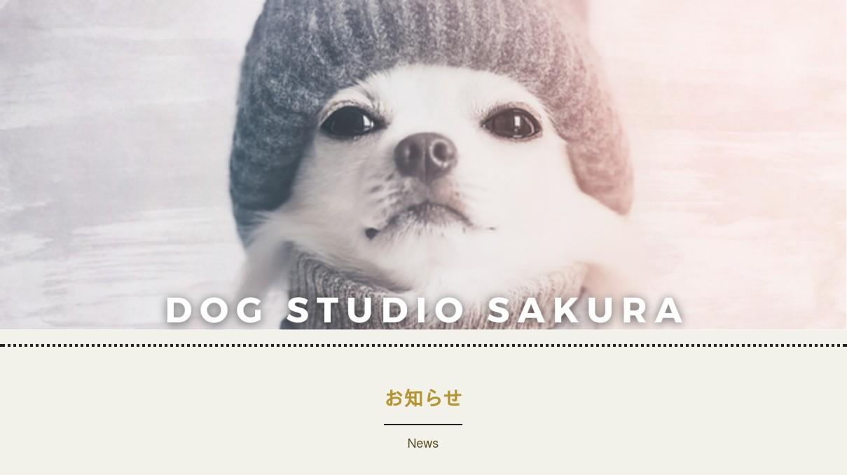 DOG STUDIO SAKURAの外観