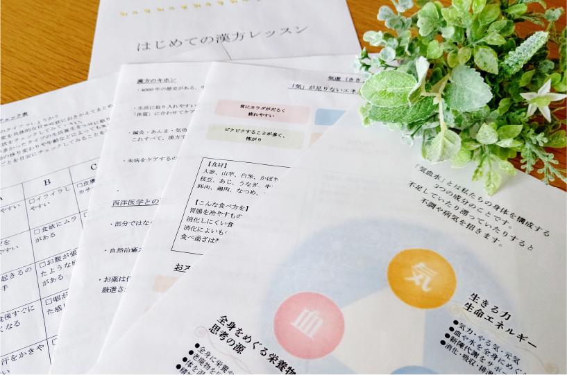 漢方養生学講座テキスト