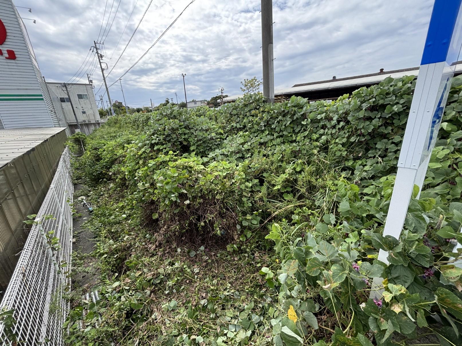 遠州おたすけ隊の草刈り（ビフォー）