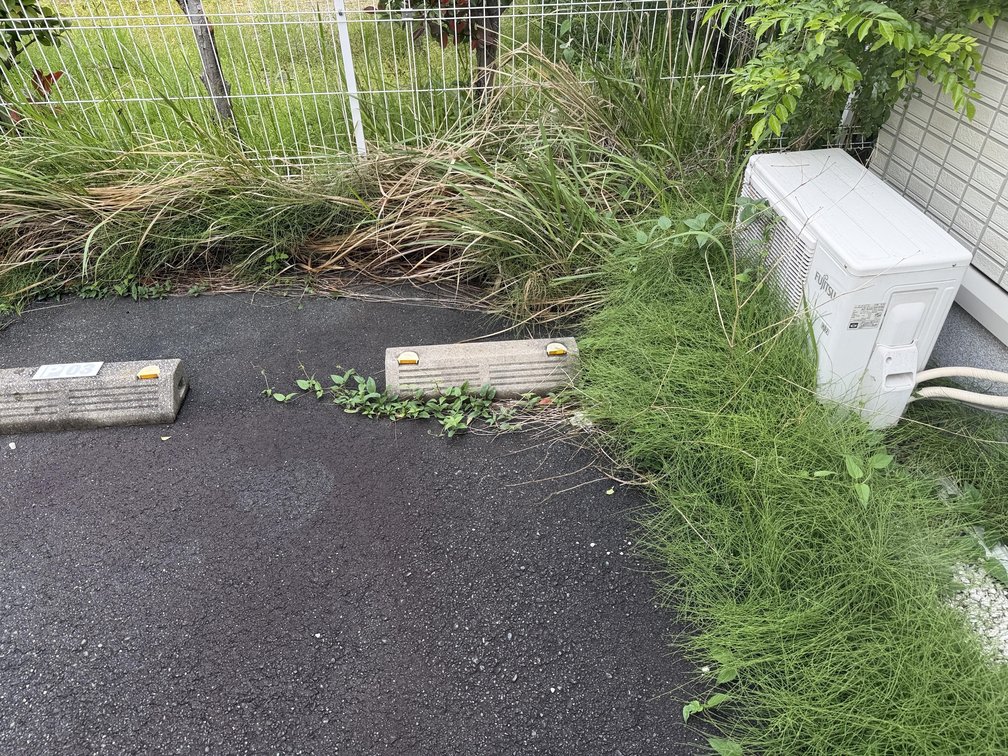 遠州おたすけ隊の草むしり（ビフォー）