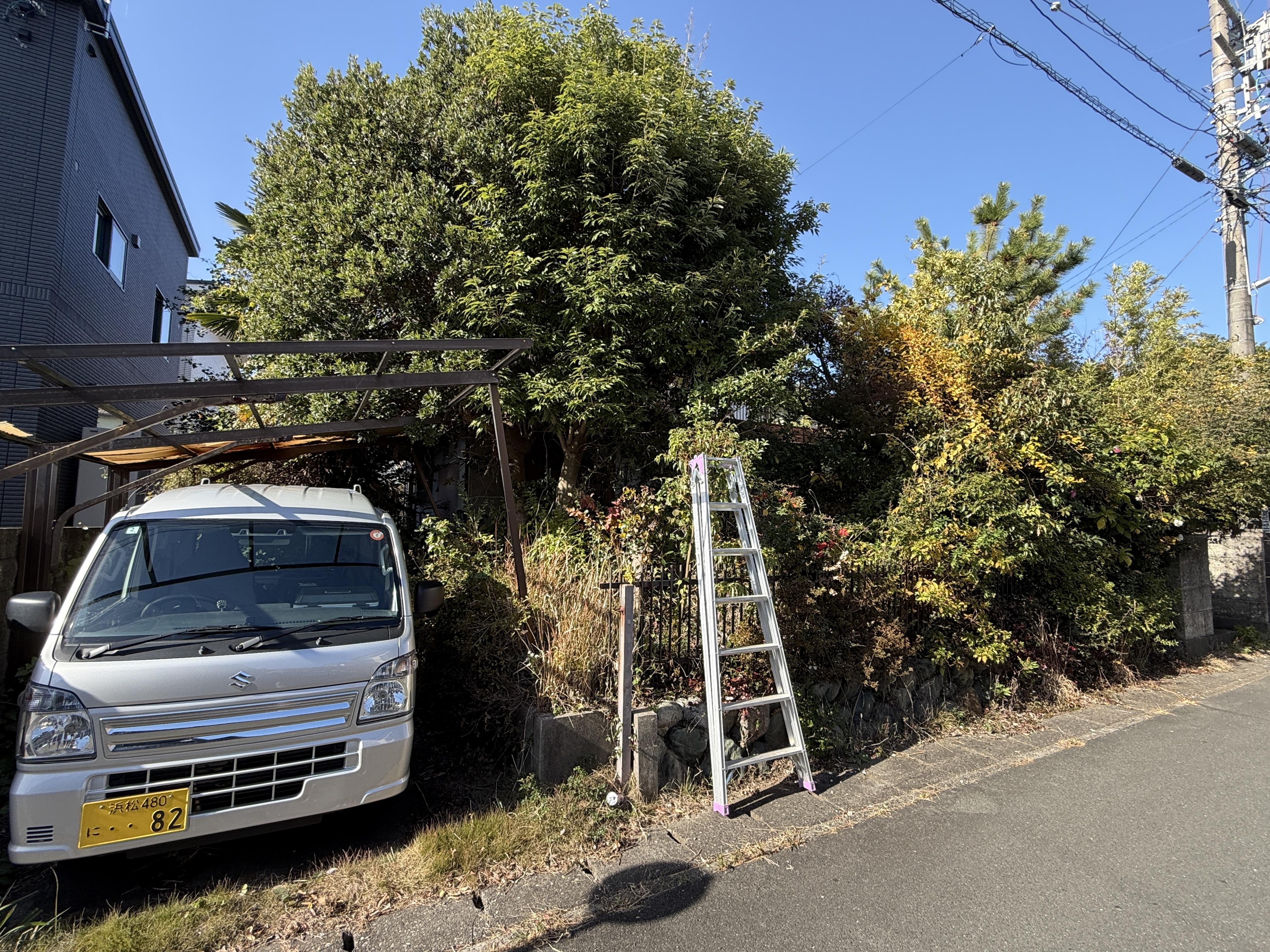 遠州おたすけ隊の庭木の伐採（ビフォー）