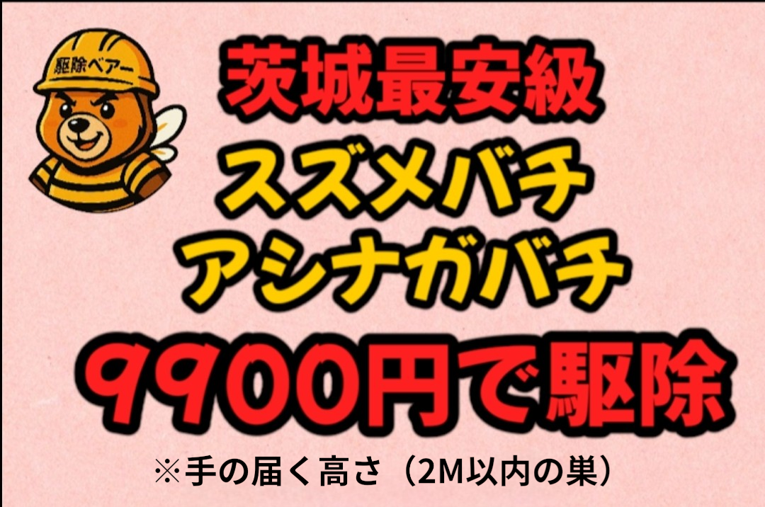 茨城最安級のスズメバチ・アシナガバチ駆除9900円キャンペーン画像