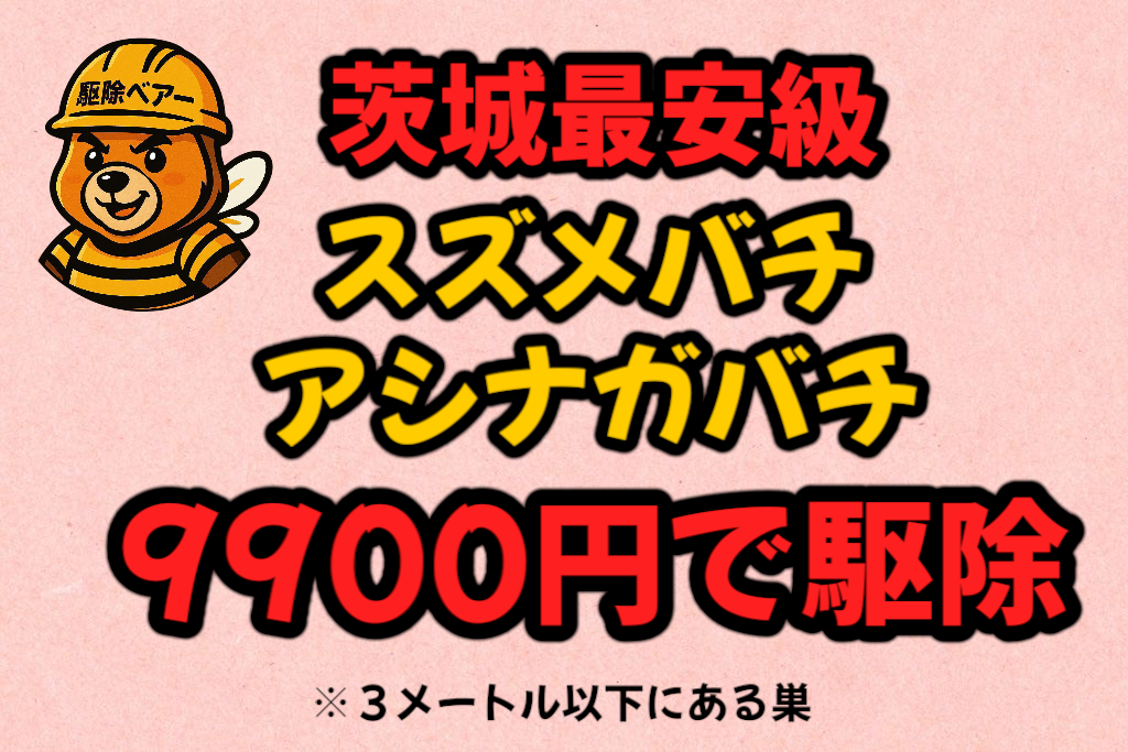 茨城最安級のスズメバチ・アシナガバチ駆除9900円キャンペーン画像