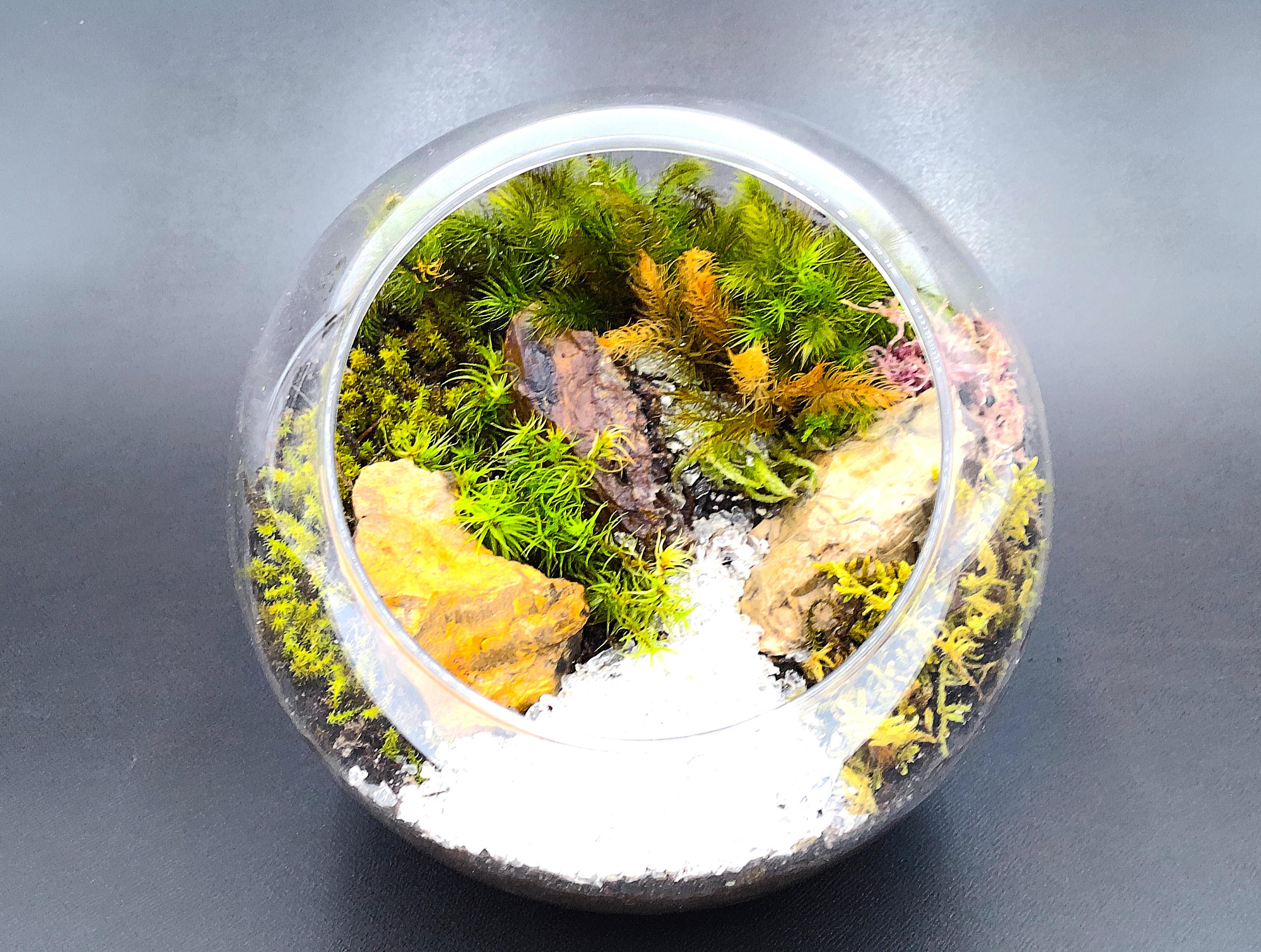 鍔 苔ヤスリデザイン かなり良い音 鍔 苔ヤスリデザイン かなり良い音