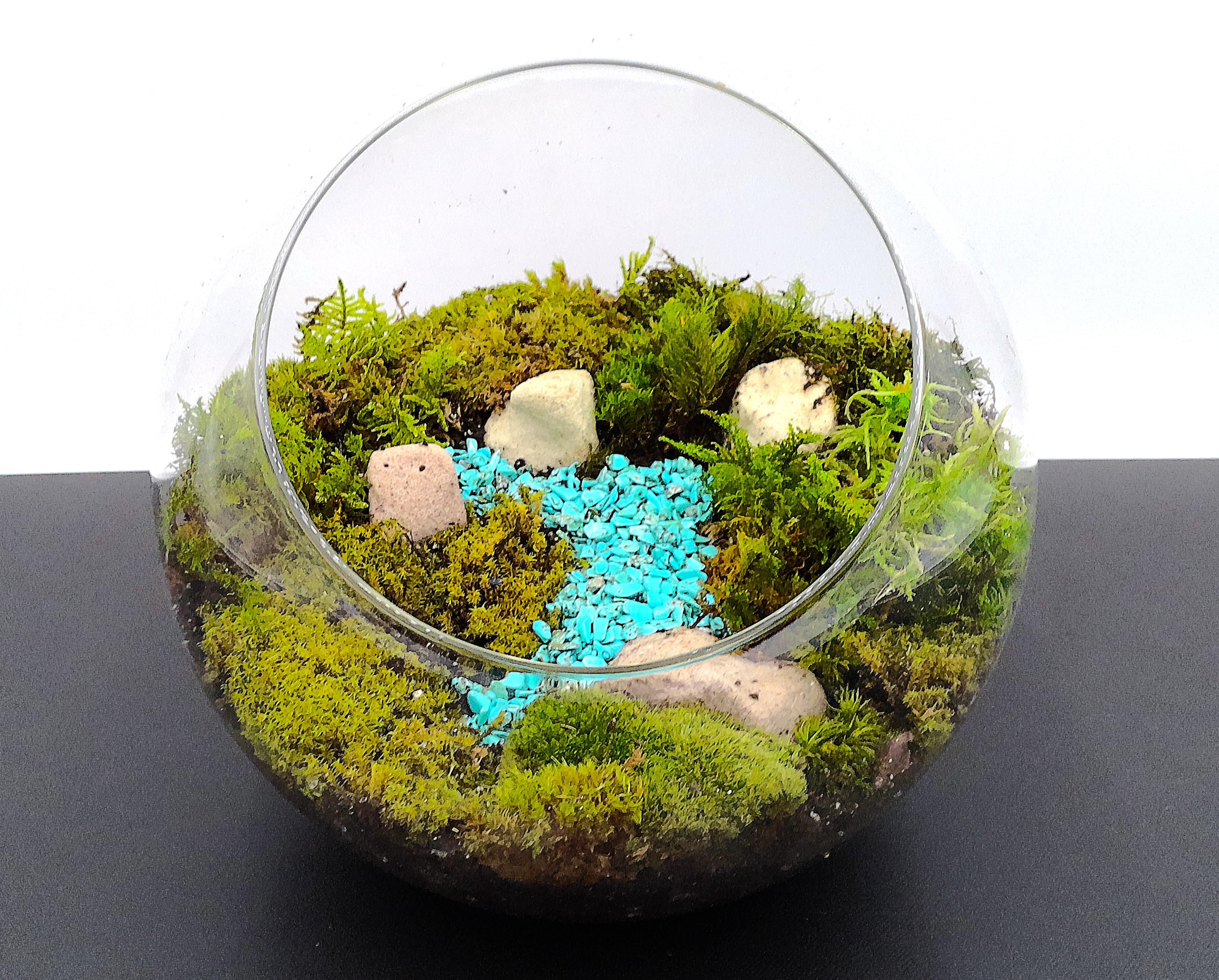 苔の音-kokenone-