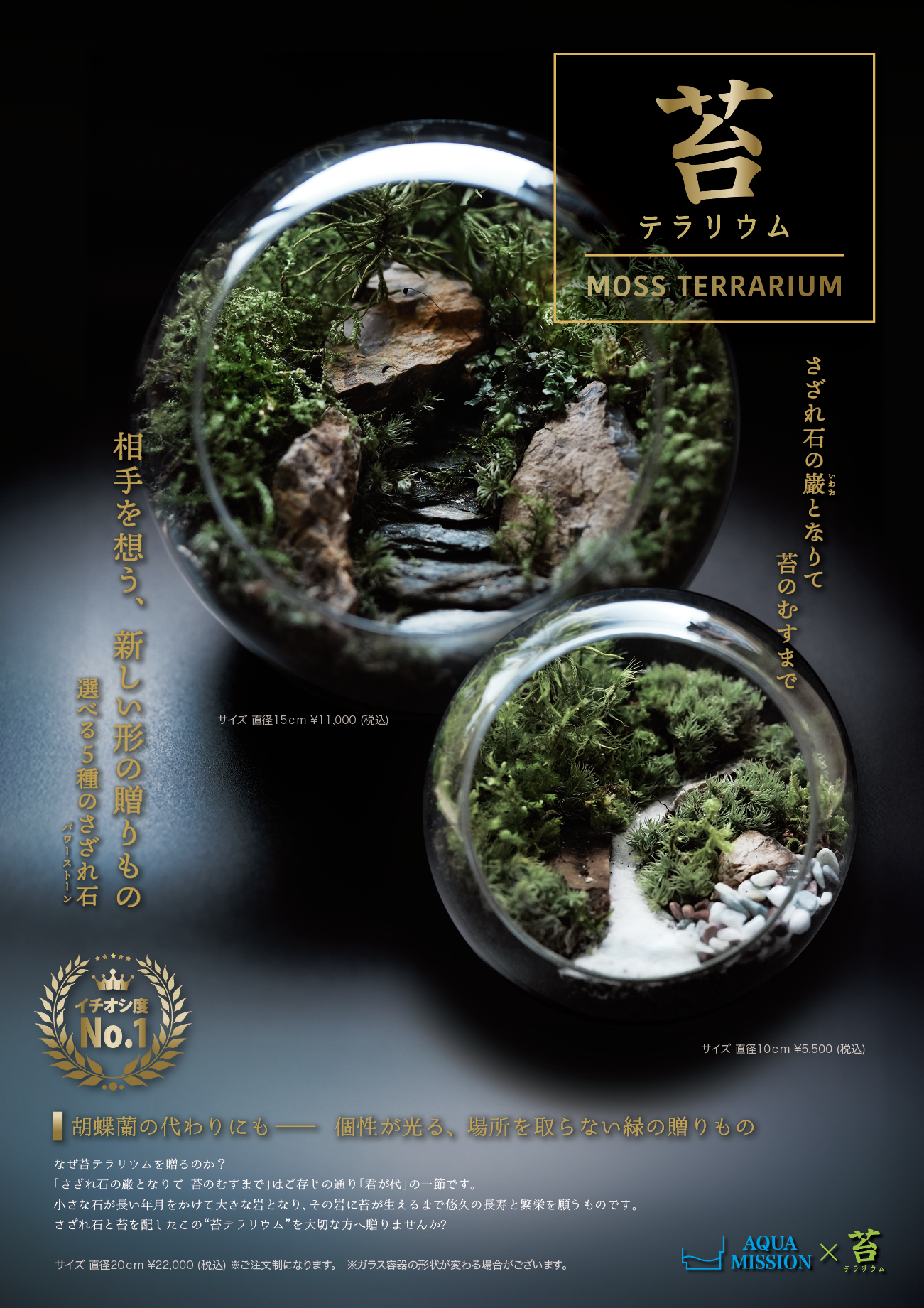 苔の音-kokenone-
