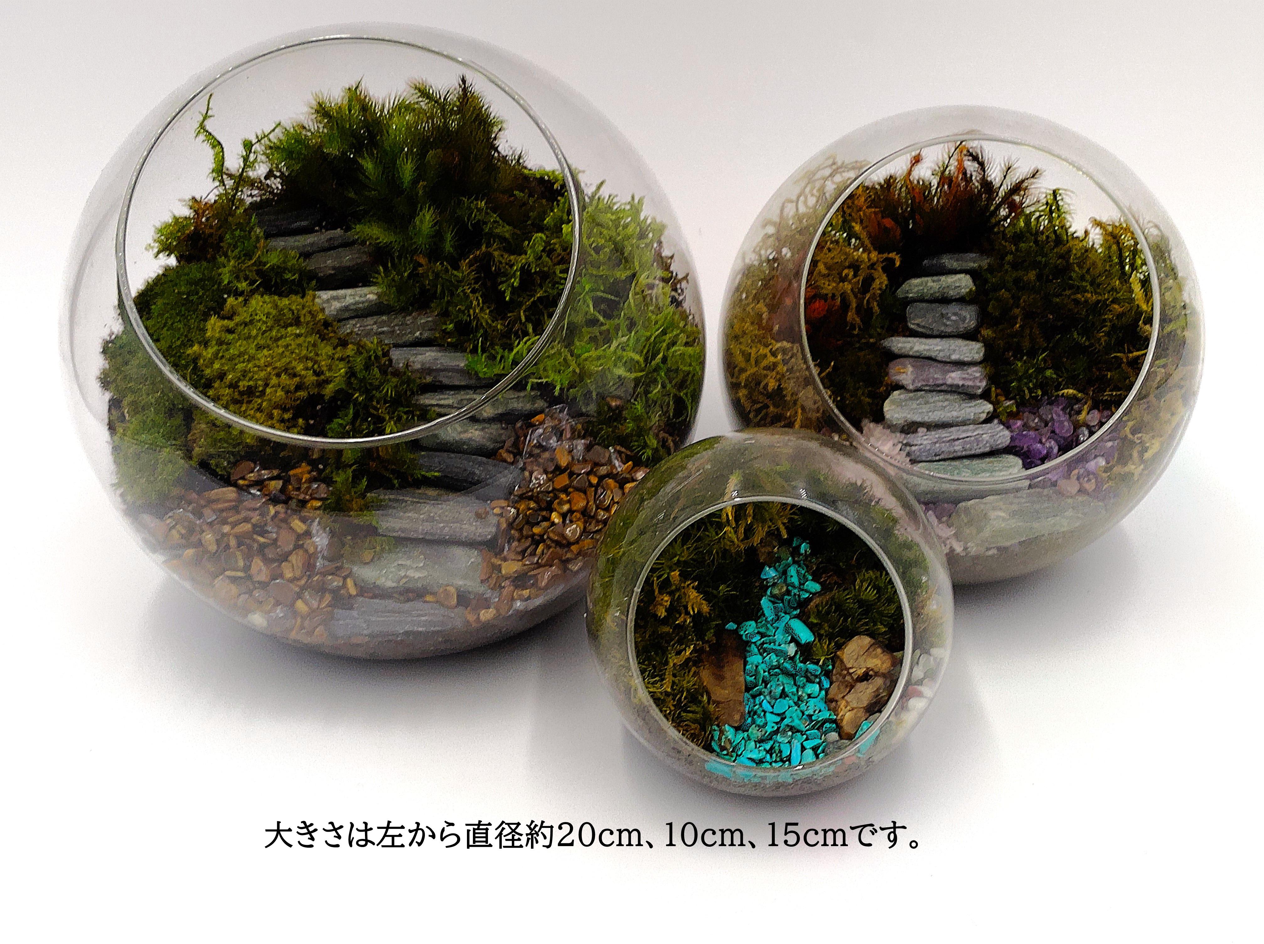 鍔 苔ヤスリデザイン かなり良い音 鍔 苔ヤスリデザイン かなり良い音 鍔 苔ヤスリデザイン かなり良い音