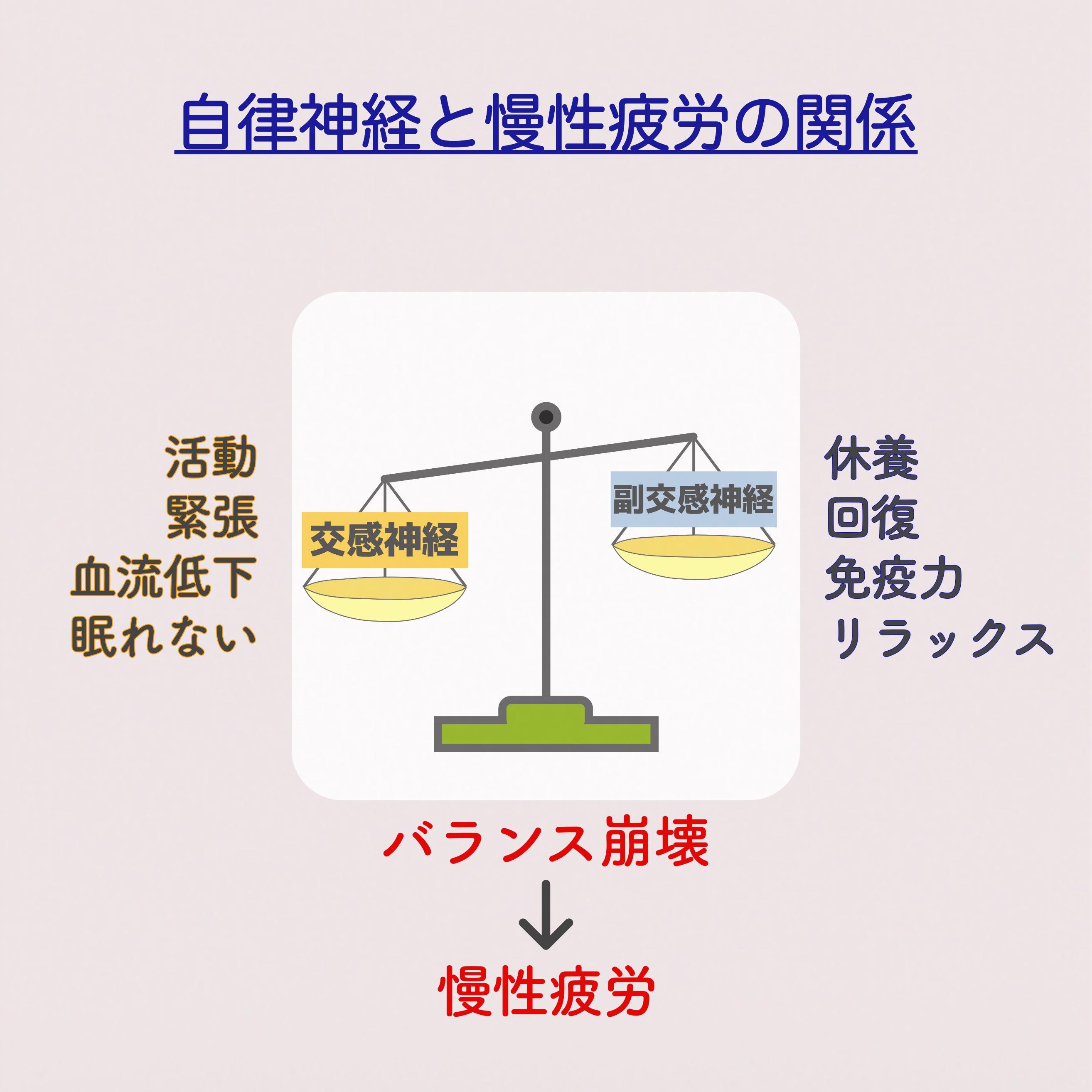自律神経と慢性疲労の関係を示す図。交感神経と副交感神経の天秤が描かれ、交感神経側には『活動』『緊張』『血流低下』『眠れない』、副交感神経側には『休養』『回復』『免疫力』『リラックス』と表示。バランスが崩れると慢性疲労につながることを説明している。