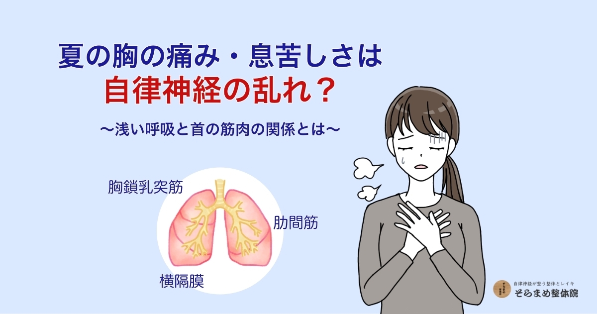 宝塚 そらまめ整体院ブログ『夏の胸の痛み・息苦しさは自律神経の乱れ？ 浅い呼吸と首の筋肉の関係とは』｜辛そうに胸に手を当てる女性と肺のイラスト