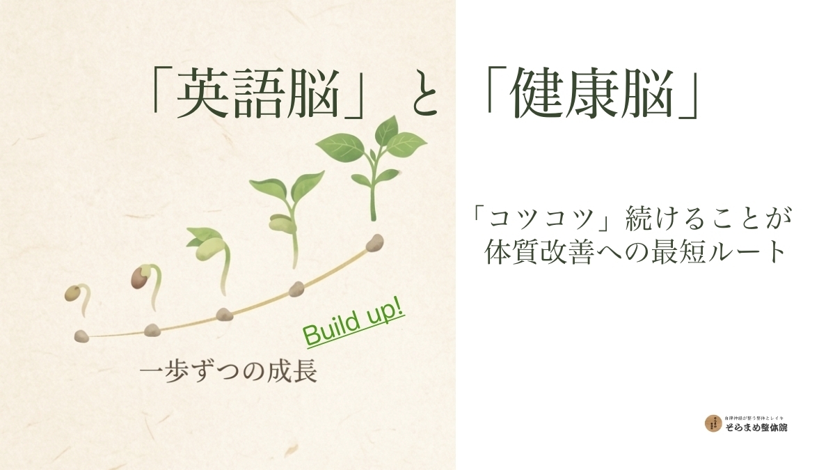 和紙のテクスチャを背景に、種から若葉へと段階的に成長していく植物のイラスト。「『英語脳』と『健康脳』」という大きなタイトルと、「『コツコツ』続けることが体質改善への最短ルート」というキャッチコピーが添えられている。右下には「そらまめ整体院」のロゴが配置され、一歩ずつの積み重ねが根本改善に繋がることを象徴的に表現したブログ用メイン画像。