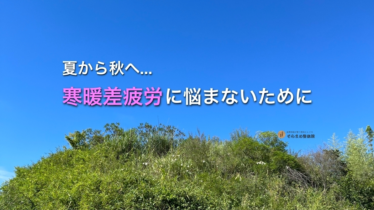 理学療法士が解説する慢性疲労の正体と、自律神経を整える背中の隠れスイッチについてのブログメイン画像