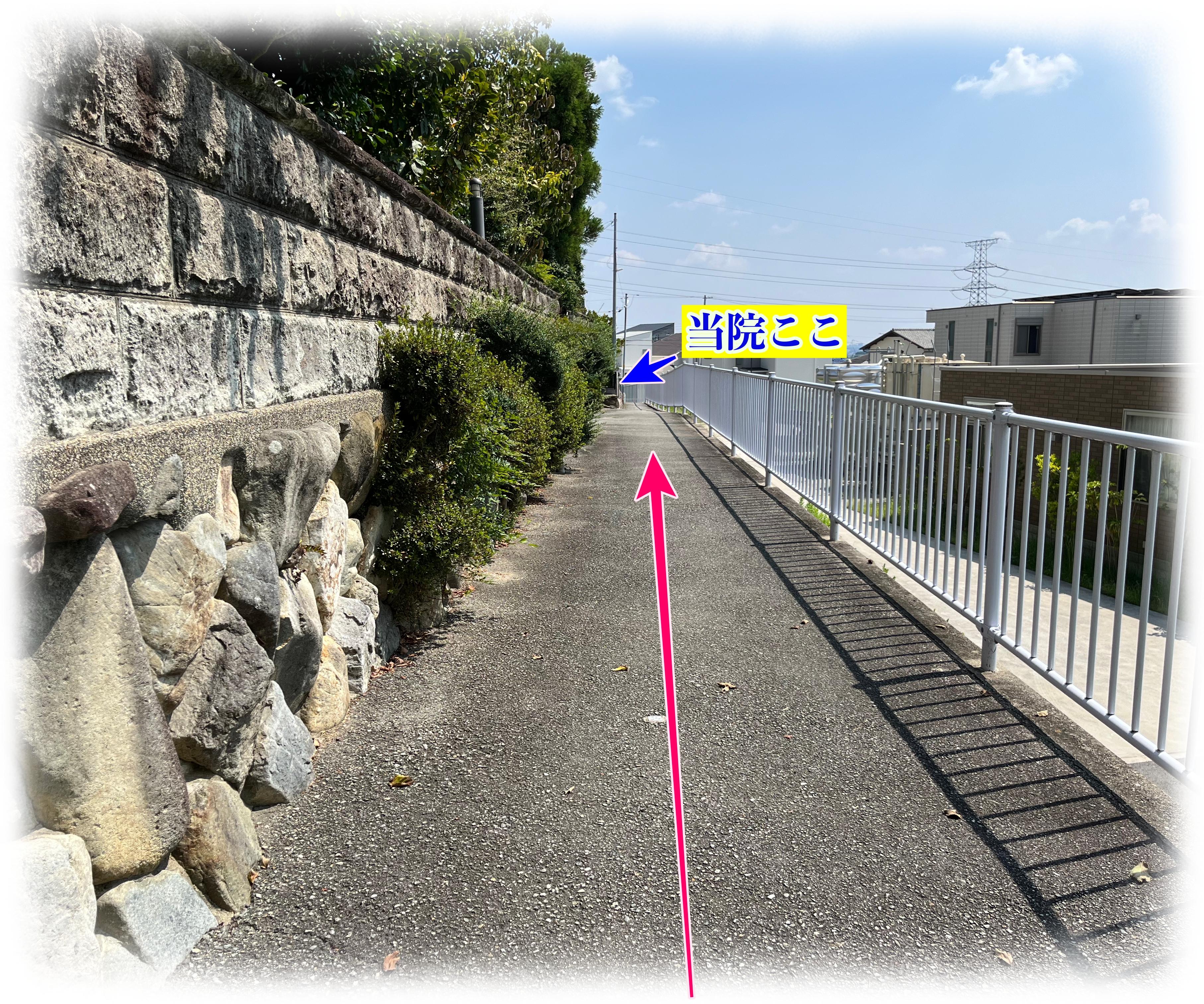 宝塚のそらまめ整体院への道順案内写真｜路地を直進して約20m先に院の入口があることを示した画像。