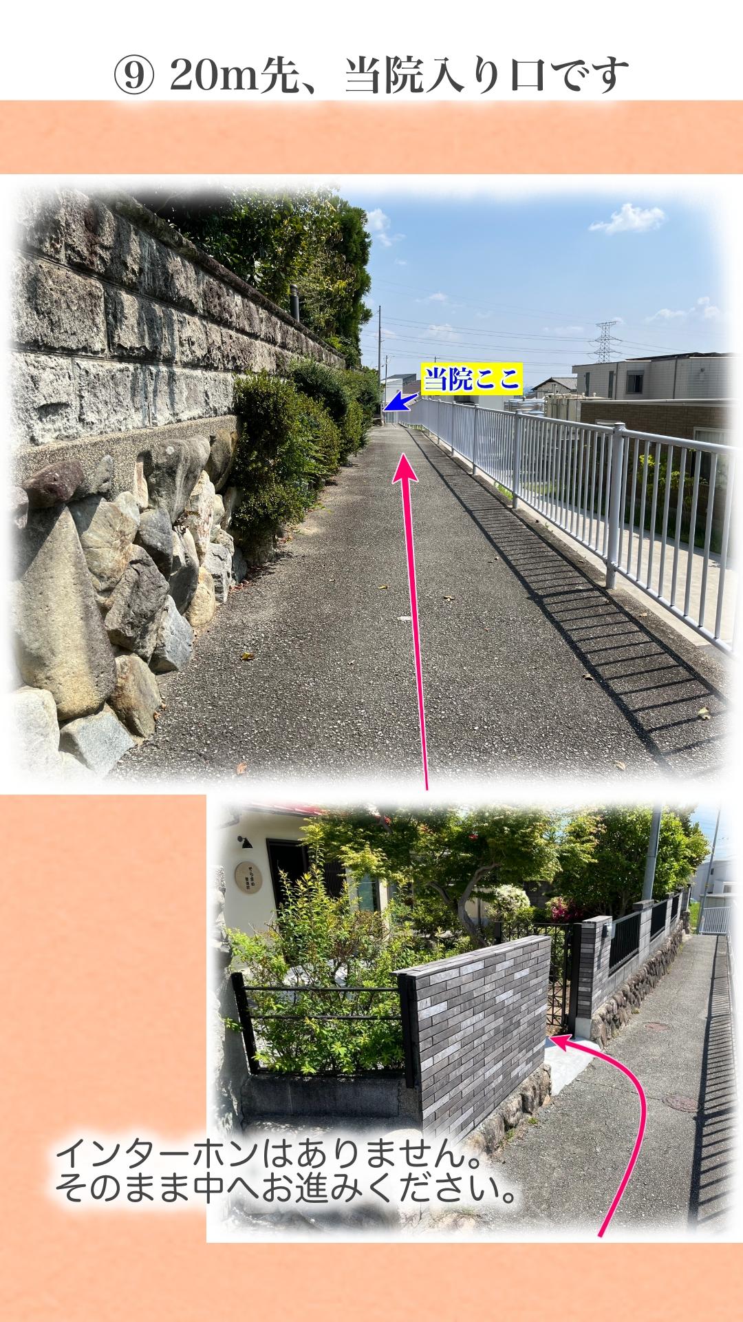 あと20メートルほどで当院の入口に到着します。インターホンはありませんので、そのままお入りください。