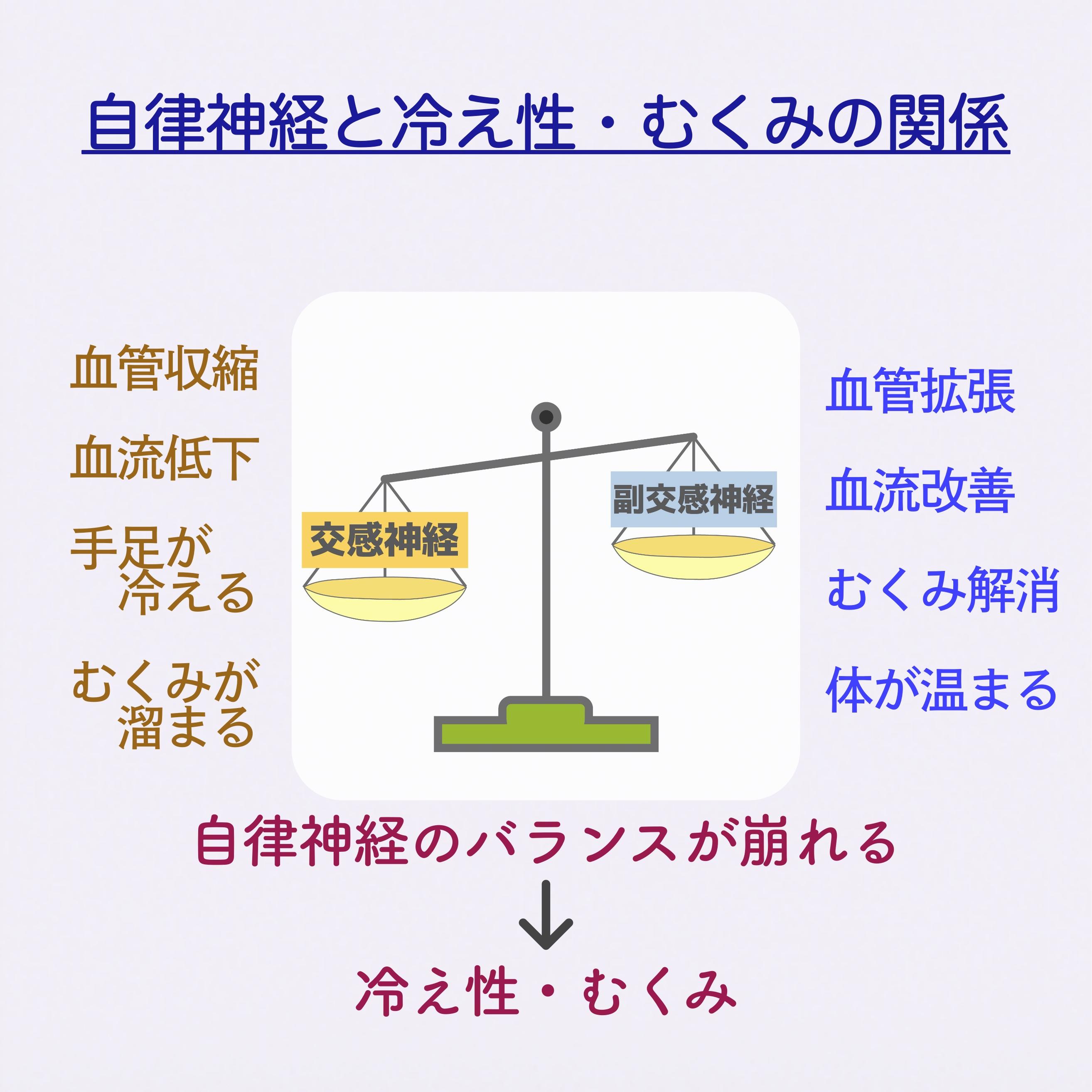 自律神経と冷え性・むくみの関係を示す天秤の図。交感神経が優位になると『血管収縮・血流低下・手足が冷える・むくみが溜まる』、副交感神経が優位になると『血管拡張・血流改善・むくみ解消・体が温まる』と書かれている。自律神経のバランスが崩れると冷え性・むくみにつながることを示している。