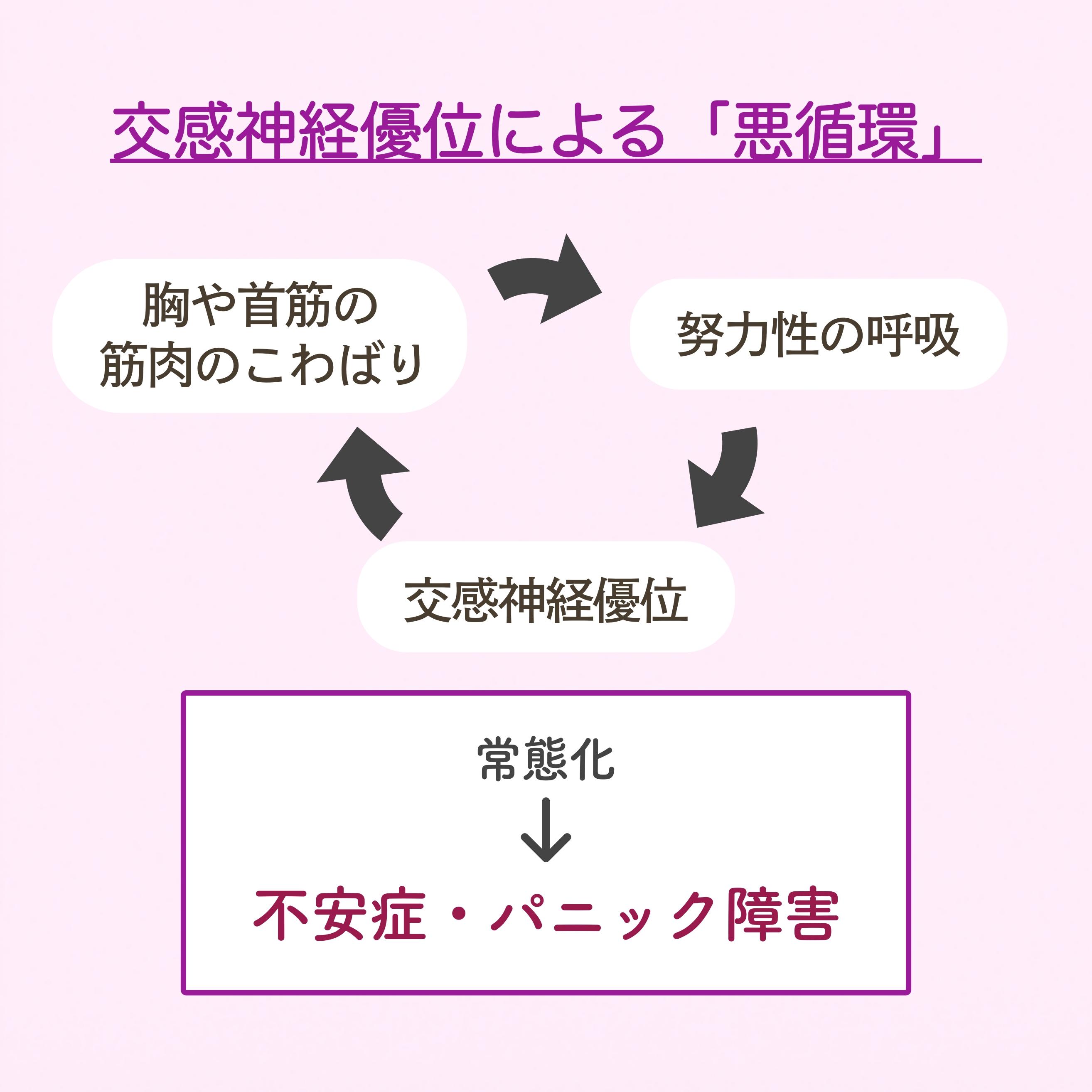 交感神経優位による悪循環を示す図。『胸や首筋の筋肉のこわばり』→『努力性の呼吸』→『交感神経優位』→再び『胸や首筋の筋肉のこわばり』と矢印で循環が描かれている。下部には『常態化→不安症・パニック障害』と書かれ、悪循環が慢性化するリスクを示している。