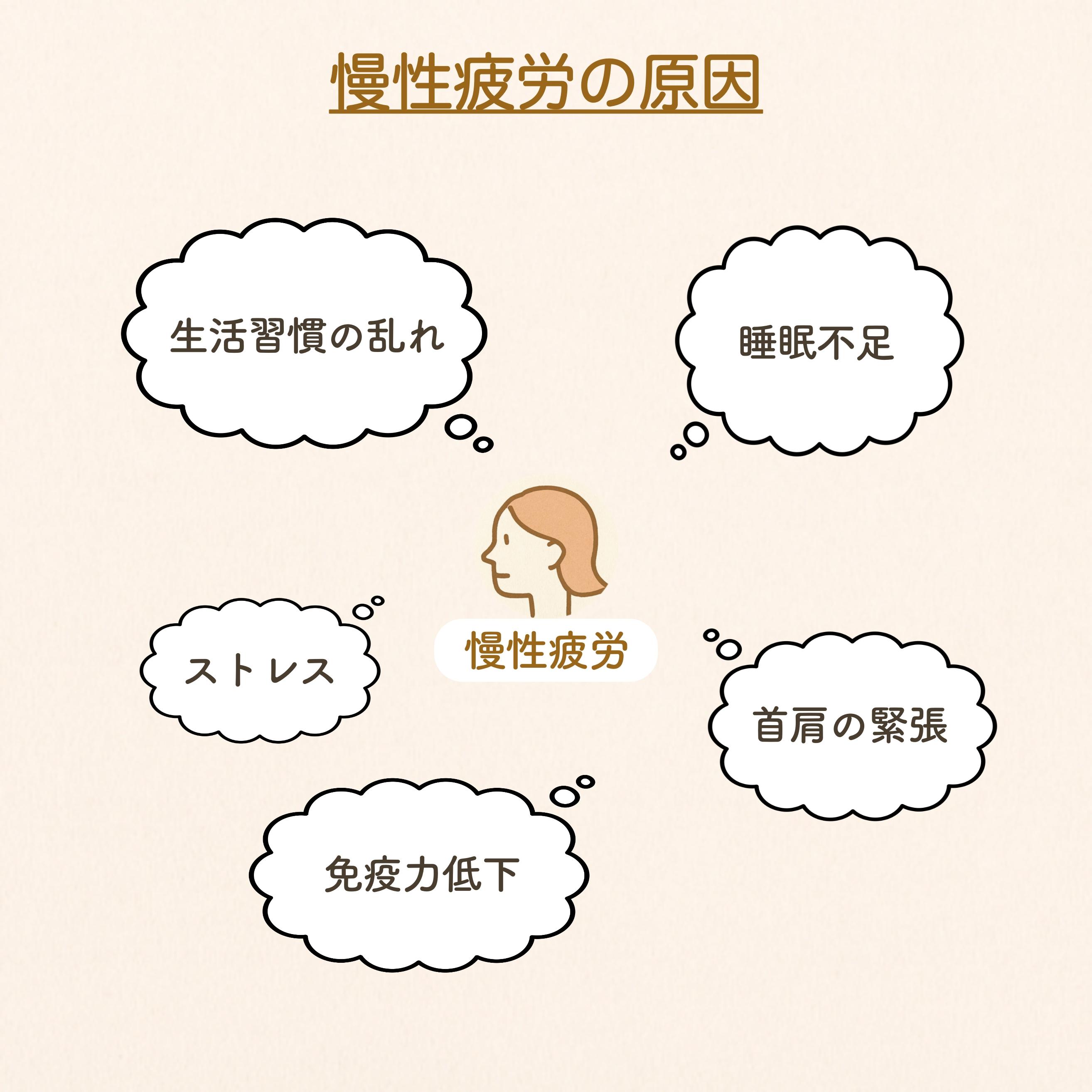 慢性疲労の原因を示すイラスト。中央に女性の顔と『慢性疲労』、周囲に吹き出しで『生活習慣の乱れ』『睡眠不足』『首肩の緊張』『免疫力低下』『ストレス』が配置されている。