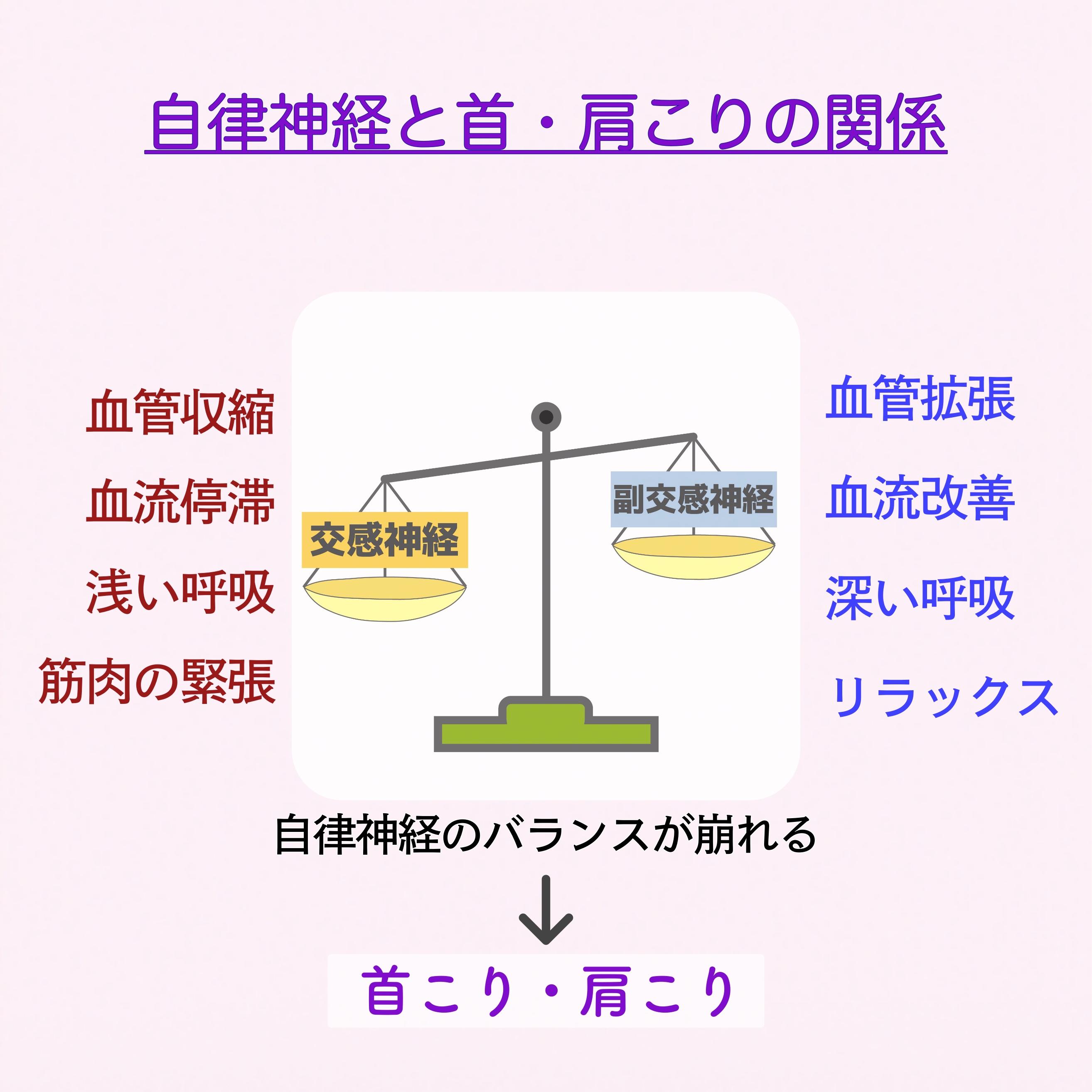自律神経のバランスと首・肩こりの関係を示す図解。天秤の左側に交感神経（血管収縮、血流停滞、浅い呼吸、筋肉の緊張）、右側に副交感神経（血管拡張、血流改善、深い呼吸、リラックス）が配置されている。バランスが崩れると首こり・肩こりにつながることを示している。