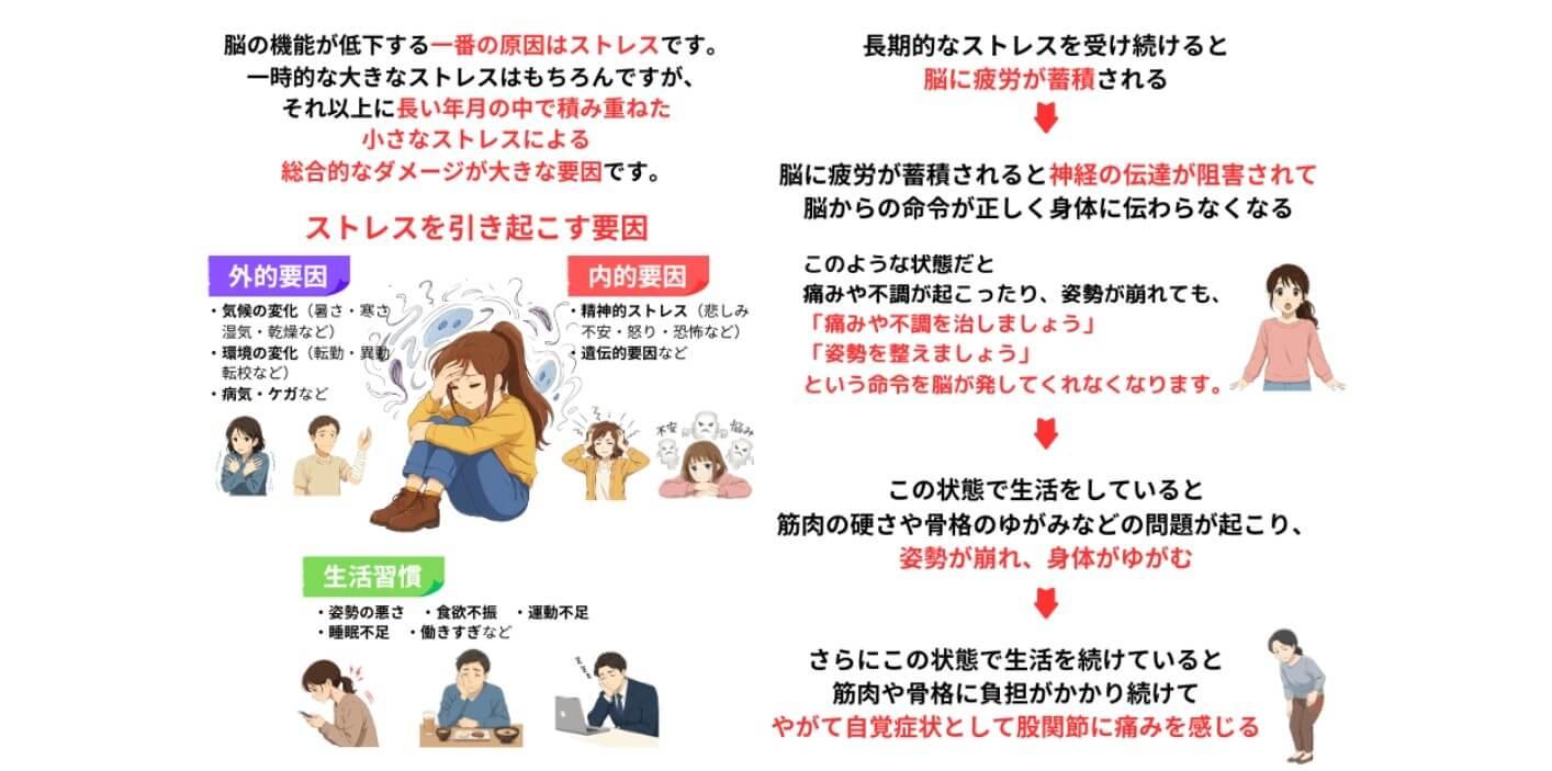 ストレスが脳の機能低下の原因　ストレスが身体に与える影響