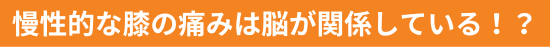 慢性的な膝の痛みは脳が関係している！？