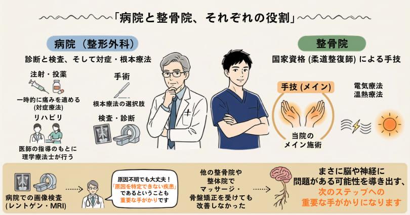 病院と整骨院の役割の違い