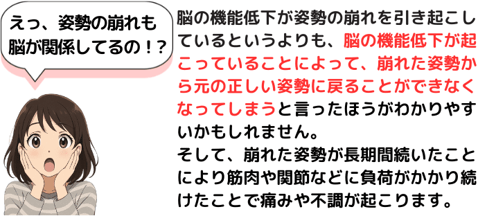 姿勢の崩れも脳の機能低下が原因です