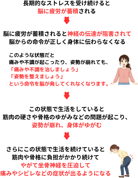 長期的なストレスを受け続けると脳に疲労が蓄積され、神経の伝達が阻害されて脳からに命令が正しく身体に伝わらなくなる。これにより回復できなくなり坐骨神経痛を感じるようになります。