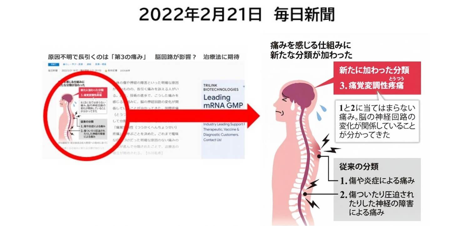 痛覚変調性疼痛の資料