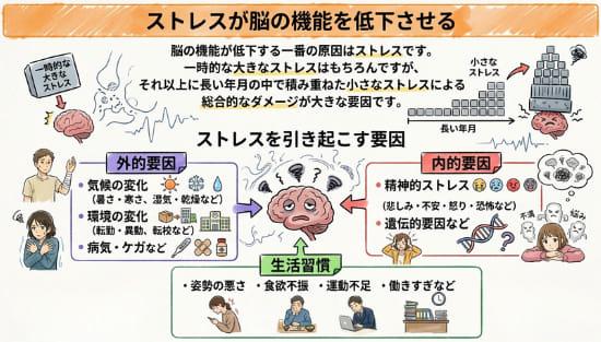 ストレスが脳の機能を低下させる