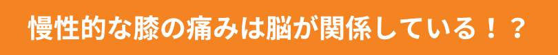 慢性的な膝の痛みは脳が関係している！？