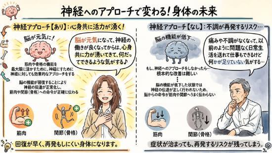 脳の機能が回復すれば神経、骨格、筋肉のポテンシャルが最大限発揮されます
