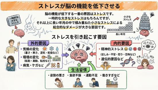 ストレスが脳の機能を低下させる