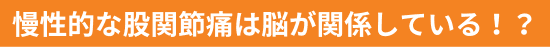 慢性的な股関節の痛みは脳が関係している！？