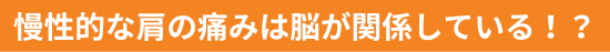 慢性的な肩の痛みは脳が関係している！？