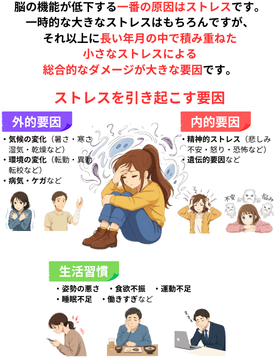 ストレスが脳の機能の低下の原因