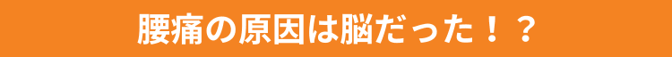 脳痛の原因は脳だった！？