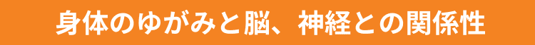 身体のゆがみと脳、神経との関係性