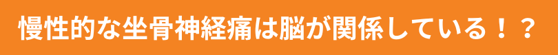 慢性的な坐骨神経痛は脳が関係している！？