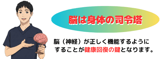 脳は身体の司令塔であり、脳が正しく機能するようにすることが健康回復の鍵となります。
