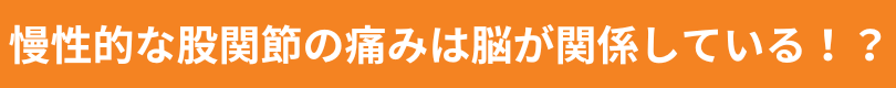 慢性的な股関節の痛みは脳が関係している！？