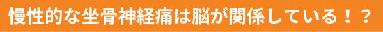 慢性的な坐骨神経痛は脳が関係している！？