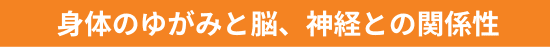 身体のゆがみと脳、神経との関係性