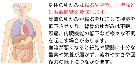 身体のゆがみは臓器や神経、血流にも悪影響を及ぼす