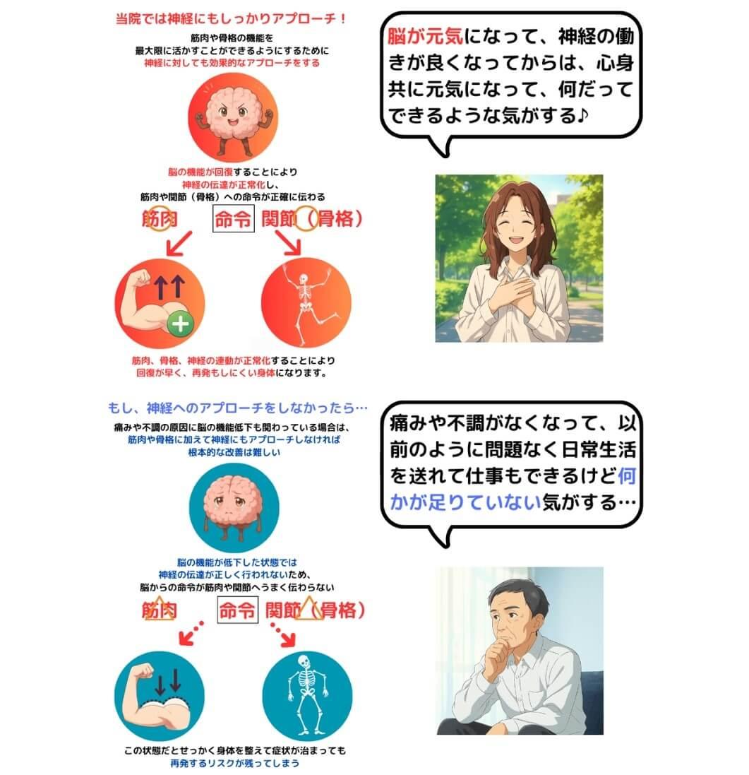 脳の機能が回復すれば神経、骨格、筋肉のポテンシャルが最大限発揮される