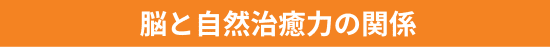脳と自然治癒力の関係