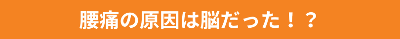 腰痛の原因は脳だった！？