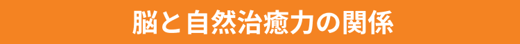 脳と自然治癒力の関係