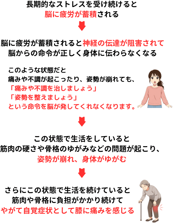 長期的なストレスを受け続けると脳に疲労が蓄積され、神経の伝達が阻害されて脳からに命令が正しく身体に伝わらなくなる。これにより回復できなくなり膝に痛みを感じるようになります。