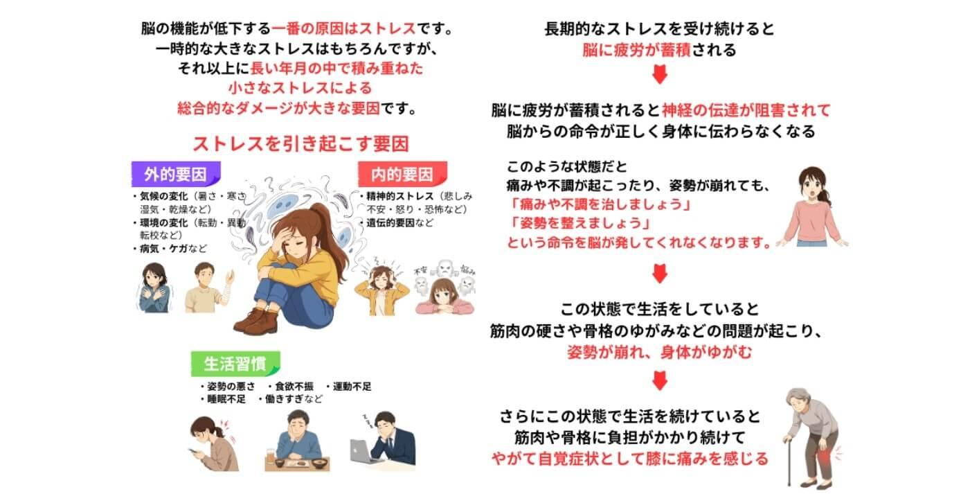 ストレスが脳の機能低下の原因　ストレスが身体に与える影響