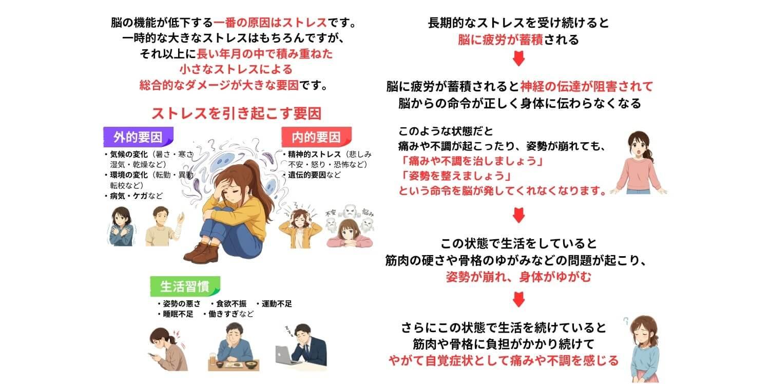 ストレスが脳の機能低下の原因　ストレスが身体に与える影響